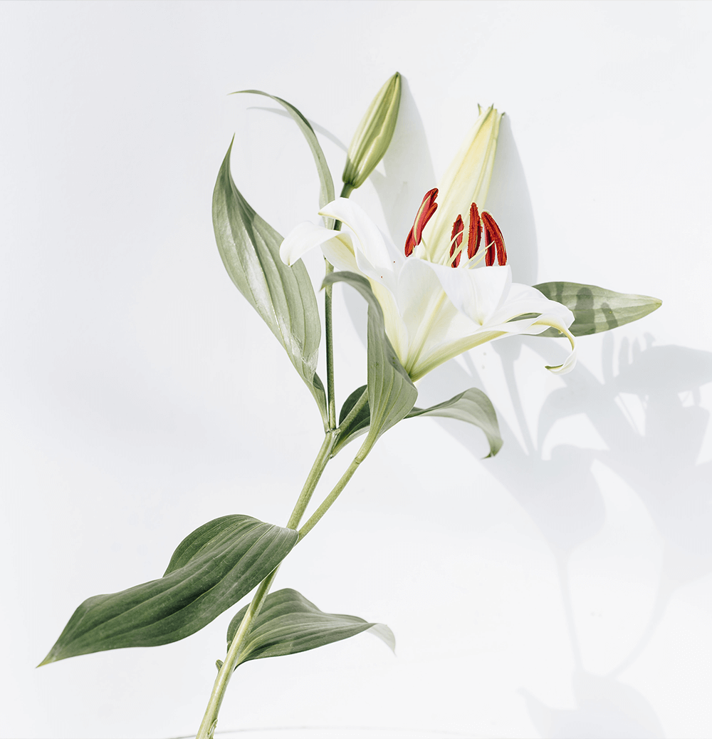 Dreamy_Candle_Mockup-1